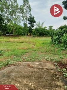 For SaleLandPhetchabun : Land for sale, area 1 rai 1 ngan 98.6 square wa, Sri Thep, Phetchabun