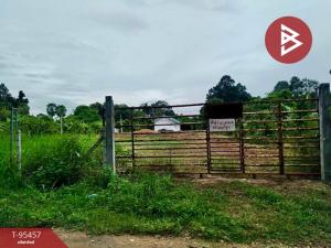 For SaleLandNakhon Nayok : Land for sale, 3 rai, 1 ngan, 76 square wa, Pa Kha Subdistrict, Ban Na District, Nakhon Nayok