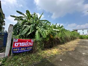 For SaleLandChaengwatana, Muangthong : Land filled 1 rai, Soi Chaeng Watthana-Pak Kret 23, opposite Central Chaeng Watthana, road next to Wirasu-Chaeng Watthana, Bang Phut, Pak Kret, Nonthaburi