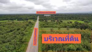 For SaleLandPhetchabun : For sale: 13-year-old golden teak forest garden, Ban Klang Subdistrict, Lom Sak District, Phetchabun Province, area 10 rai 3 ngan 76 sq m.