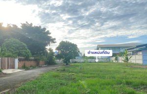 For SaleLandNonthaburi, Bang Yai, Bangbuathong : Land for sale, Sinsiri Village, Bang Bua Thong, Nonthaburi, in a community, not crowded, near the main road, good price