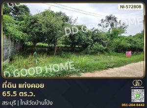 For SaleLandSaraburi : Land for sale Kaeng Khoi 65.5 sq w, Saraburi, near Ban Pong Temple.