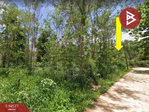 For SaleLandLampang : Beautiful land for sale, area 5 rai 55 square wa, Ko Kha District, Lampang Province, next to Wang River