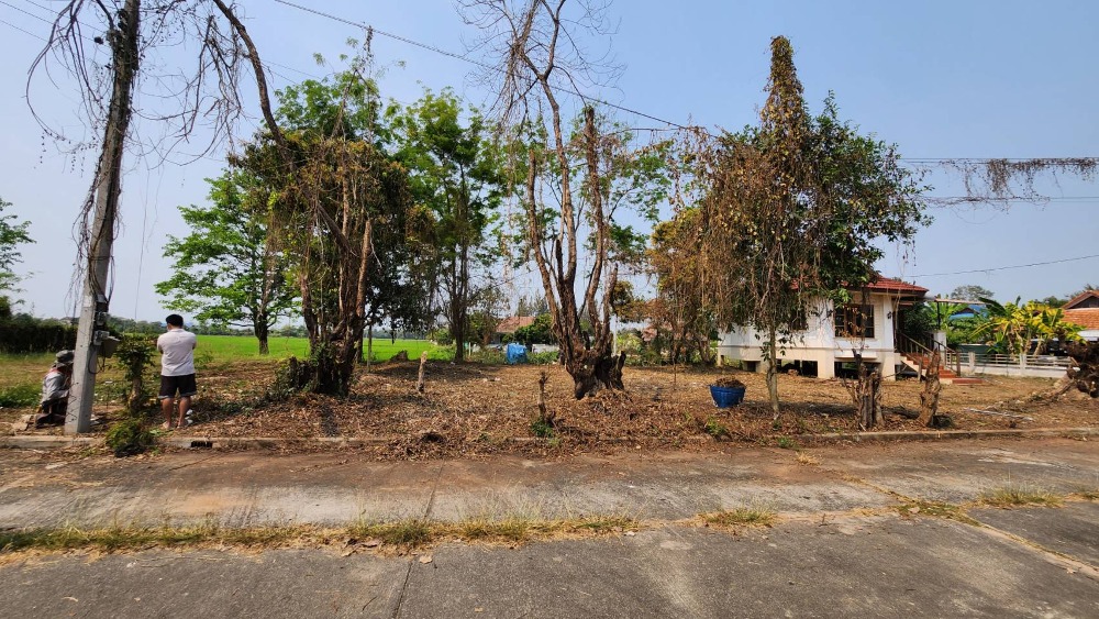 For SaleLandChiang Mai : Land for Sale in Doi Saket, Chiang Mai