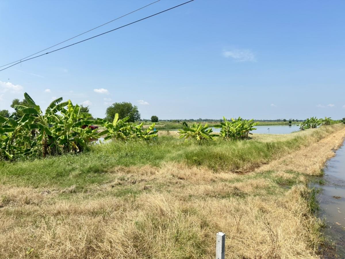 For SaleLandNakhon Nayok : Land for sale, cheap price, 50 rai, next to the road, Bang Luksue Subdistrict, Ongkharak District, Nakhon Nayok Province