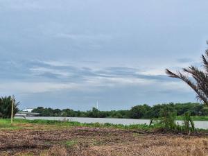 For SaleLandChachoengsao : Land next to the Bang Pakong River, very beautiful.