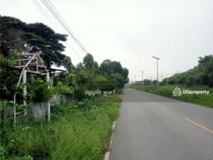 For SaleLandSaraburi : Beautiful land plot for sale, Thesaban 2 Road, Pak Phriew Subdistrict, Mueang Saraburi District, Saraburi Province