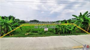 For SaleLandPhutthamonthon, Salaya : Land for sale, Dao Thong, Chaloem Niwet, Salaya, Phutthamonthon, Nakhon Pathom: near The Royal Gems Golf Course: 201 sq.wa: CODE NN-91364