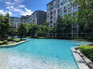 For RentCondoChiang Mai : For rent: Deeping Condo, 3rd floor, garden view.