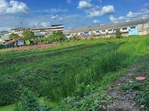 For SaleLandRama5, Ratchapruek, Bangkruai : Land for sale, 2 rai, Bang Kruai-Chong Tanom Road, near Bang Kruai Municipality