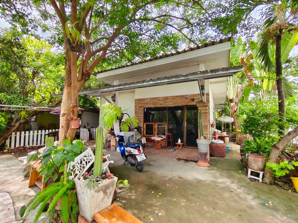 For SaleHouseChai Nat : For sale: Resort-style garden house in the heart of Chai Nat! 🌳 🏡 2 houses, 6 bedrooms, 4 bathrooms, shady atmosphere in the middle of the city 💥 New price only 3,900,000 baht, ready to move in immediately!