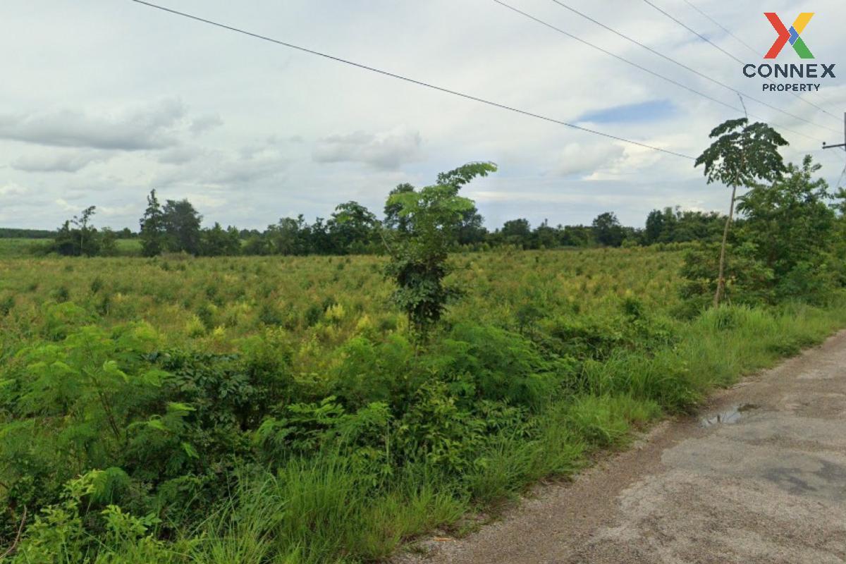 For SaleLandSa Kaeo : For Sale Empty land, Ban Non-Nong Yai (SorKor.4012) , Phak Kha , Watthana Nakhon , Sa kaeo , CX-108910