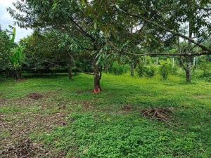 For SaleLandNakhon Nayok : Land for sale, Sarika Subdistrict, Mueang District, Nakhon Nayok Province, size 8-0-97.8 rai, suitable for making a resort, vacation home, near Sarika Waterfall, Wang Takrai Waterfall, Nang Rong Waterfall, Khun Dan Prakan Chon Dam