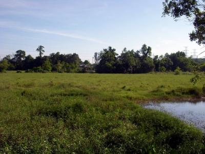 ขายที่ดินตราด : ขายที่ดิน 11 ไร่ ติดถนนสุขุมวิท อำเภอเมืองตราด