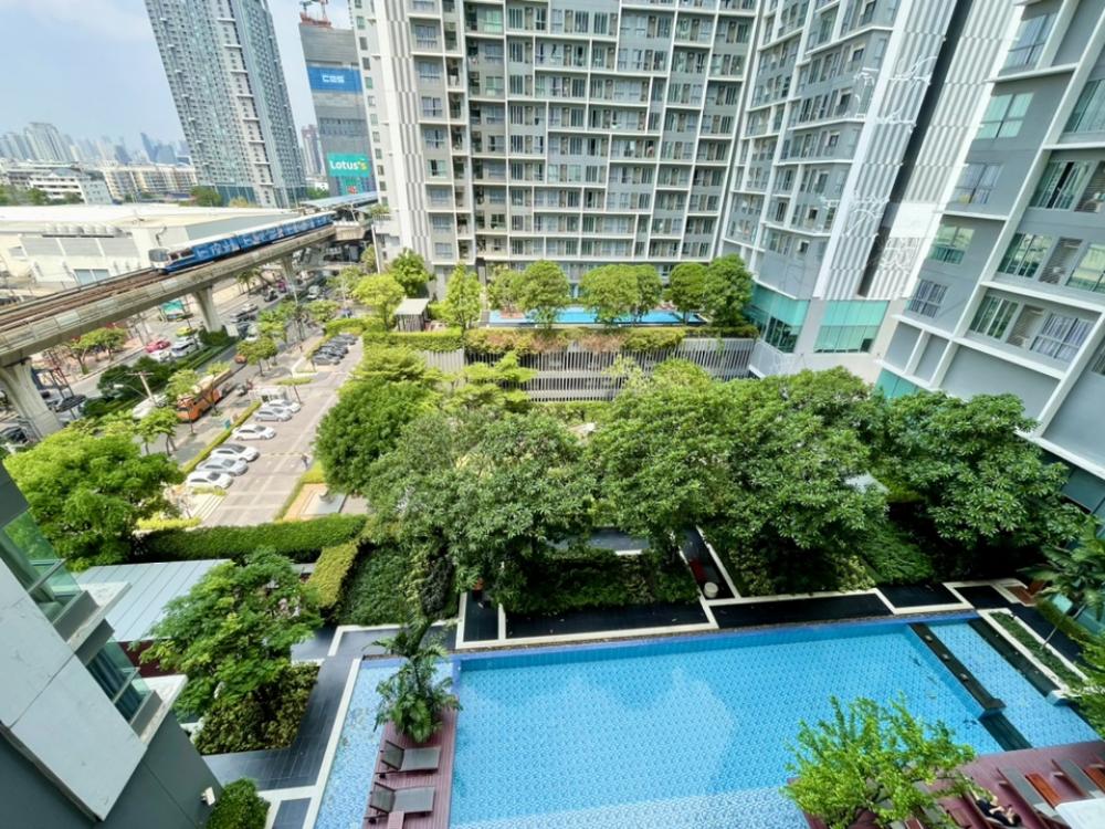 For RentCondoOnnut, Udomsuk : 🔥Urgent for rent🔥 Condo ideo mobi sukhumvit81, next to BTS On Nut, just a few kilometers, good price.