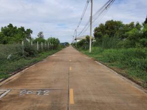 For SaleLandPathum Thani,Rangsit, Thammasat : Land for sale in Khlong 4 Lamlukka-Rangsit Sai Chao Sai Road Soi Sawai Pracharat 29, area of 100 sq m.