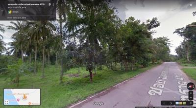 For SaleLandTrat : Land for sale / rent on Koh Chang 4 rai, next to rural road, near the sea, Soi Koh Chang Subdistrict Administrative Organization, Trat