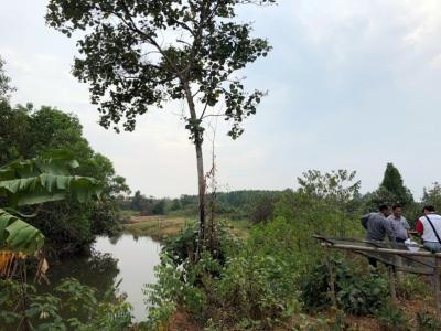 For SaleLandTrat : Land for sale along the river Weru River 1000 rai near the main road, Khao Saming District, Trat