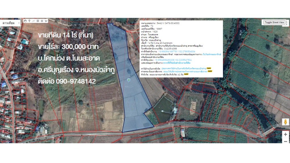 ขายที่ดินหนองบัวลำภู : ขายที่ดิน 14 ไร่ ที่นา ดินดี อ.ศรีบุญเรือง จ.หนองบัวลำภู