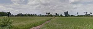 For SaleLandNakhon Sawan : Land for sale 5 rai, Kao Liao District, Nakhon Sawan Province