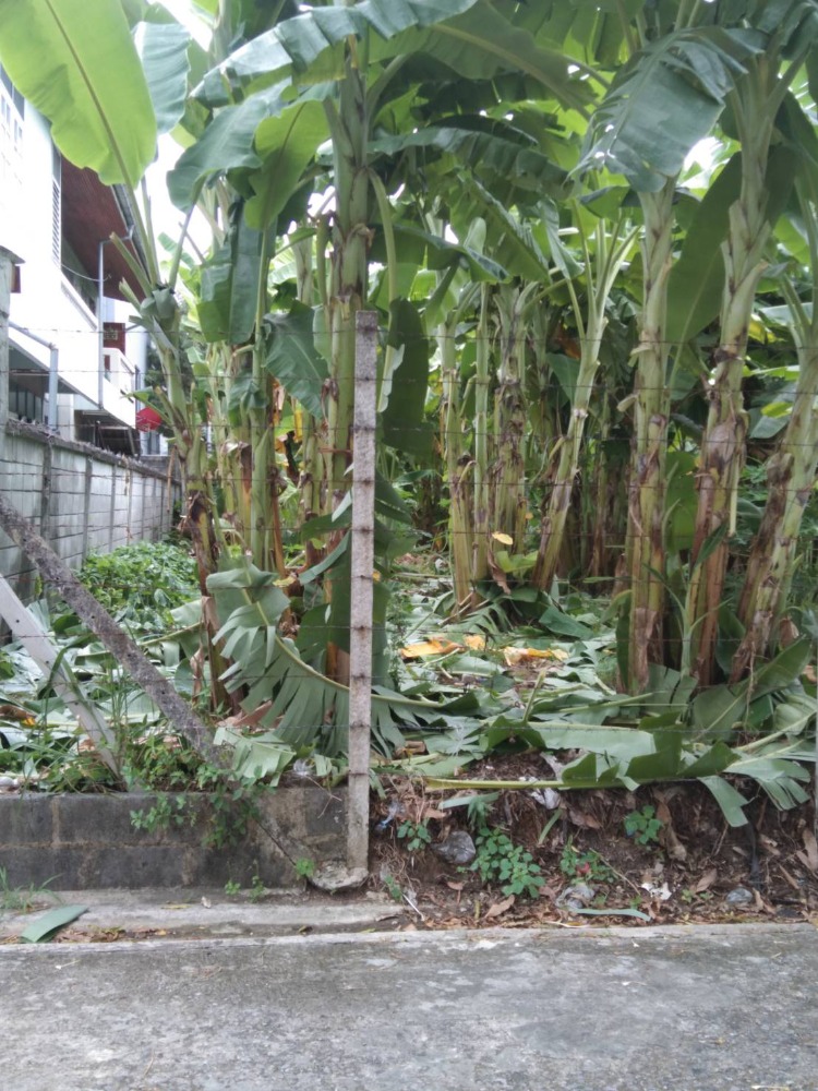 For SaleLandLadprao, Central Ladprao : Ratchadaphisek - Ladprao Land for sale 108 sq wa. Beautiful plot near Ratchadaphisek Road, behind the Criminal Court.