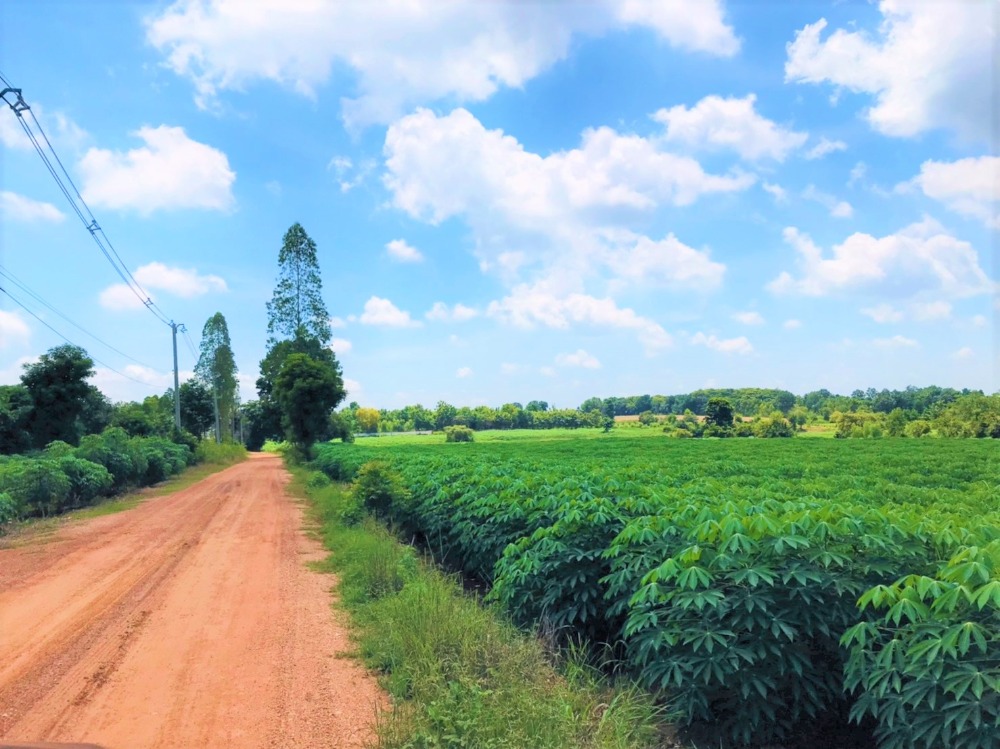 ขายที่ดินขอนแก่น : ขายที่ดินขอนแก่น ถนนมิตรภาพ 75 ไร่ ฝั่งเข้ากรุงเทพ พื้นที่สีม่วง อำเภอน้ำพอง ใกล้ท่าเรือบก Dry port เหมาะสำหรับโรงงาน โกดัง ศูนย์กระจายสินค้า