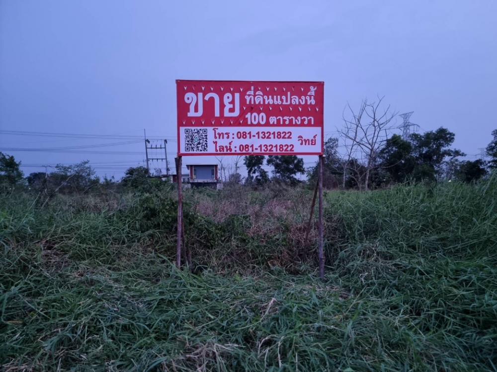 For SaleLandPathum Thani,Rangsit, Thammasat : Land for sale in Nong Suea, 100 square wa.