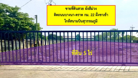 ขายที่ดินสมุทรปราการ สำโรง : ขาย ที่ดิน บางนา กม.22 ฝั่งขาเข้า ผังสีม่วง 5 ไร่ ติดถนนใหญ่ หน้ากว้าง ถมแล้ว ใกล้สนามบินสุวรรณภูมิ