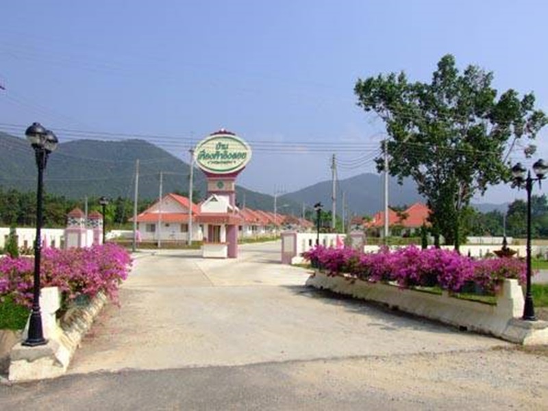 For SaleLandLamphun : Land for sale 51 rai 229 square wah, Fueng Fah Ing Doi Project, Maungua Chae , Mueang , Lamphun.