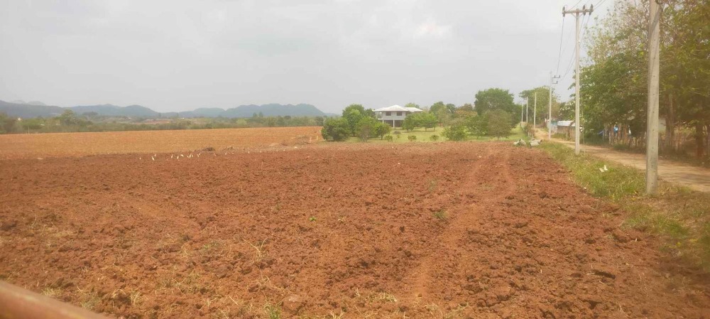 For SaleLandPak Chong KhaoYai : Land for sale in Khao Yai, beautiful square.