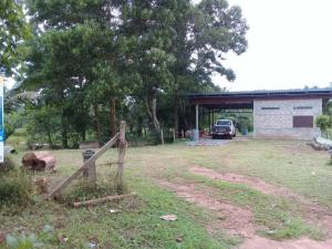 For SaleLandChumphon : Beautiful land for sale, 6 rai 3 ngan 25 square wah, suitable for housing, agricultural gardening, fish pond, coconut plantation.