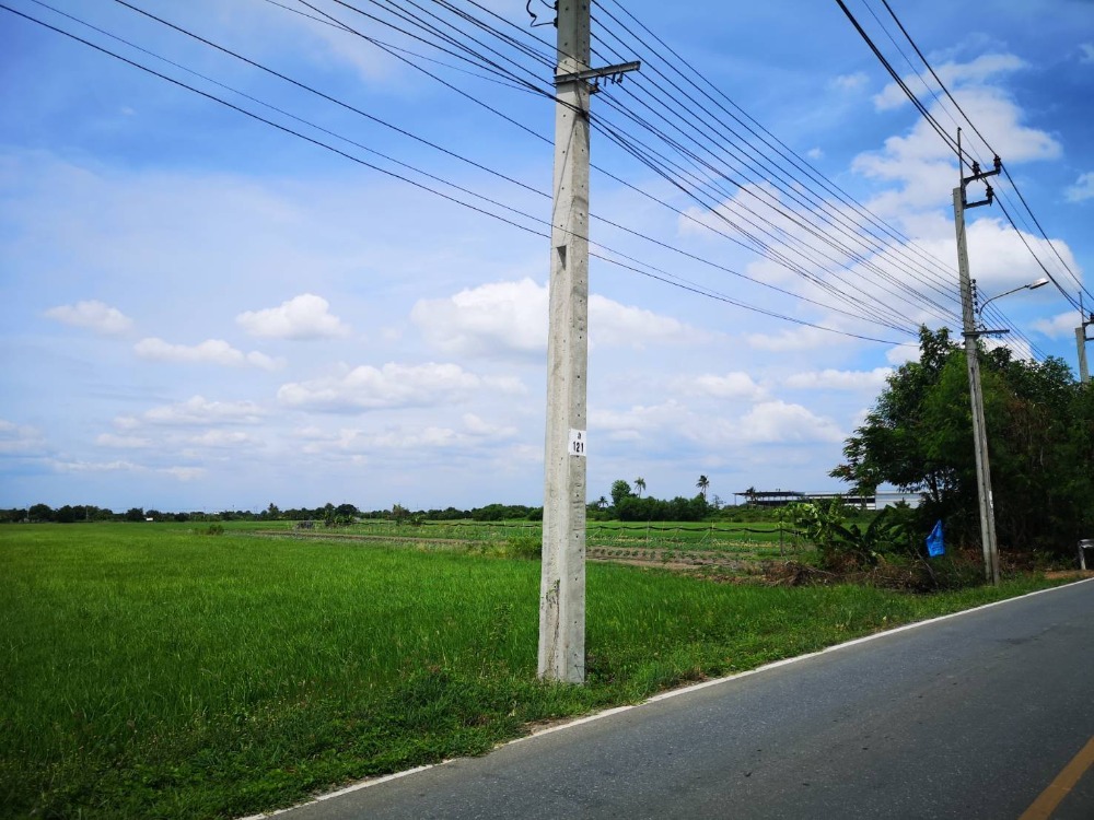 ขายที่ดินนนทบุรี บางใหญ่ บางบัวทอง : ที่ดิน   20-1-12.5  ไร่  เลียบคลองโยง บางใหญ่  นนทบุรี ติดถนนสาธารณะ   ศาลายา พุทธมณฑล