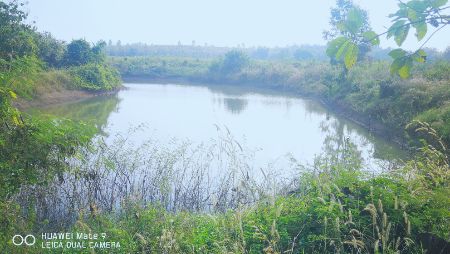 For SaleLandNan : Land for sale in Phu Pieng District, Nan, 3 rai 74 sq wa, next to a reservoir, near highway road