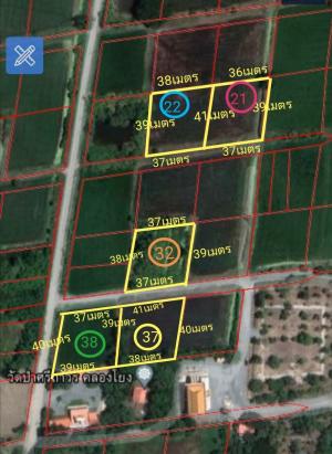 For SaleLandPhutthamonthon, Salaya : Land for sale next to Wat Pa Sri Thavorn, Khlong Yong, 300 sq wa per plot, there are 6 plots, totaling almost 6 rai.