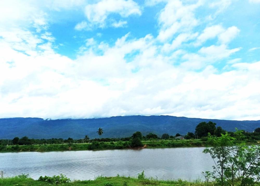 For SaleLandChiang Mai : Land for sell, beautiful Ping river front view, at Jomthong city, Chiang Mai