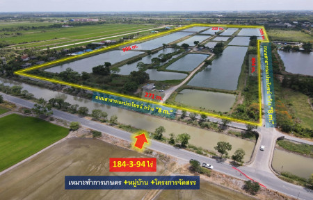 ขายที่ดินปทุมธานี รังสิต ธรรมศาสตร์ : ขายถูก! ที่ดินลำลูกกา—ใกล้ถนนลำลูกกา 700m. จ.ปทุมธานี (เหมาะสร้างโครงการ บ้านจัดสรร + สวนเกษตรสมัยใหม่) เนื้อที่ 184-3-94 ไร่ ถนนกว้าง 8 m.