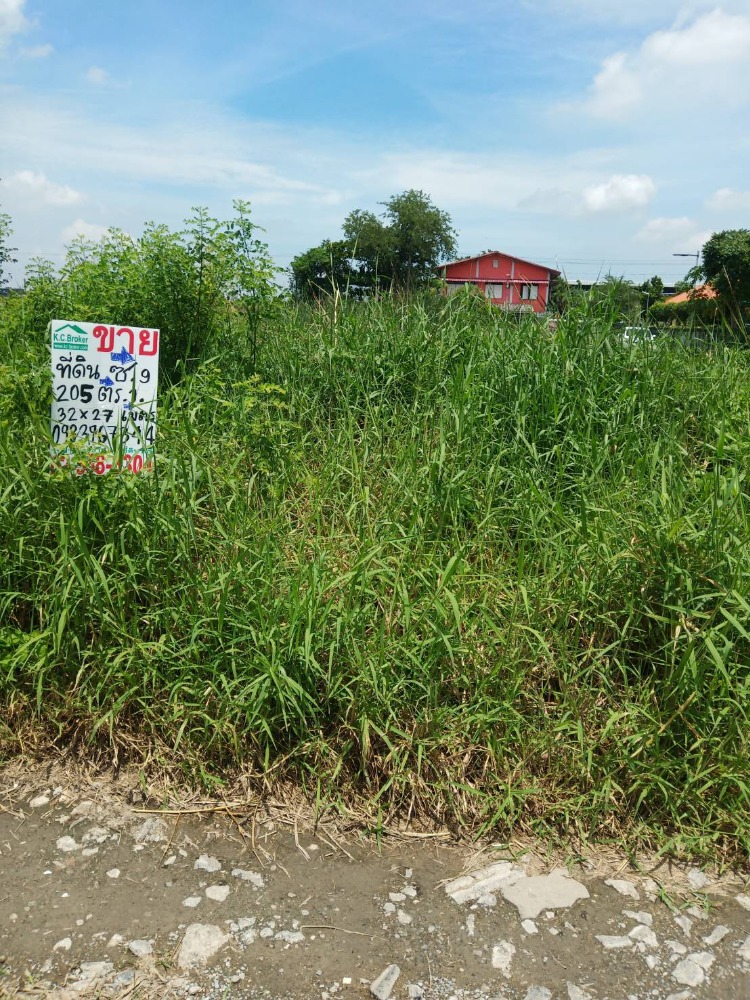 ขายที่ดินลาดกระบัง สุวรรณภูมิ : ขายที่ดิน 200 ตรว ฉลองกรุง ซ.9 ลาดกระบัง