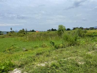 For SaleLandCha-am Phetchaburi : Land for sale in Nong Ya Plong, 6 Rai, Road 3510, the land is near the PTT gas station, Tha Takraw Subdistrict, Nong Ya Plong District, Phetchaburi.