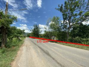 For SaleLandKhon Kaen : 📌 Land for sale 📌 Rubber plantation, next to Lat Yang Road, area 76 rai, Chum Phae District, Khon Kaen.