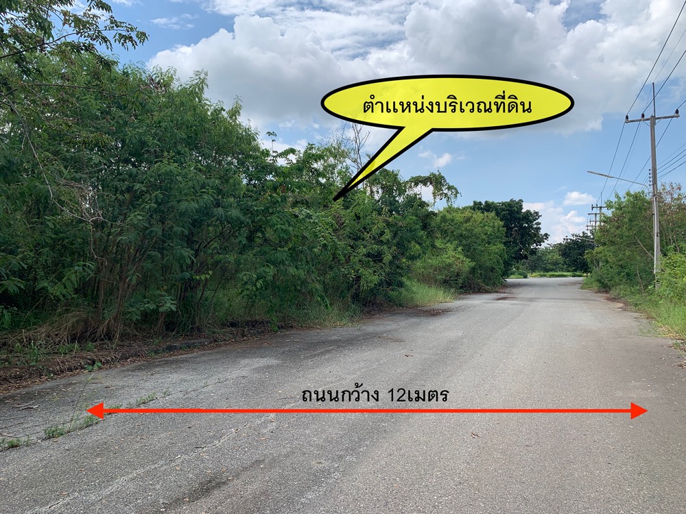 ขายที่ดินบางนา แบริ่ง ลาซาล : ขาย ที่ดินเปล่า ในโครงการวิจิตราธานี บางนา กม. 36 ต้นโครงการ 224ตร.ว.