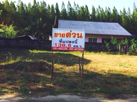 ขายที่ดินนครศรีธรรมราช : ขาย ที่ดิน ในหมู่บ้านแสงตะวันลากูน่า เมืองนครศรีธรรมราช 64.2 ตร.วา แปลงมุม เงียบสงบ เหมาะสร้างบ้านอยู่อาศัย