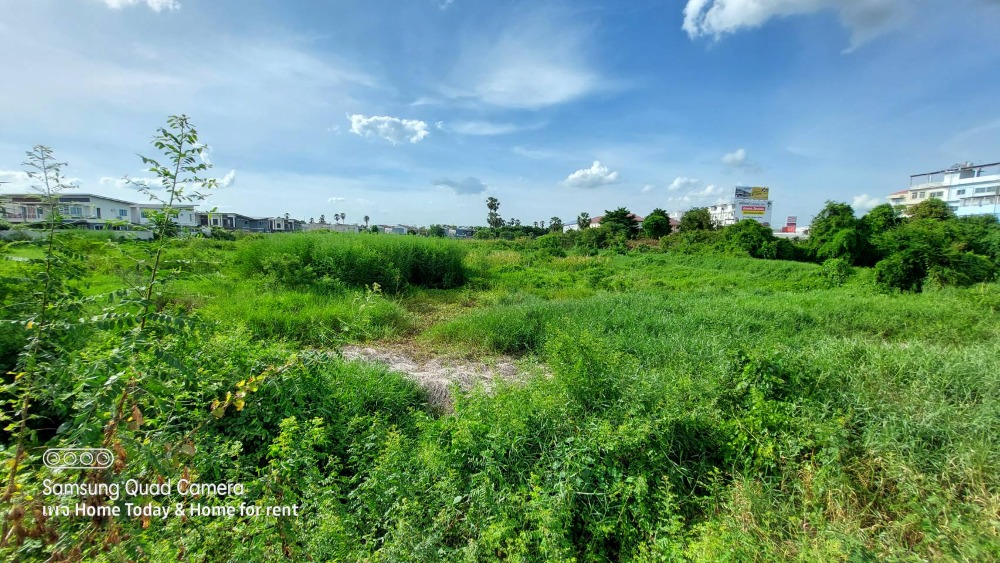 For SaleLandRama5, Ratchapruek, Bangkruai : Land for sale 14-3-77 rai, rare location, in the heart of the city on Ratchaphruek Road, land near Denla International School, near many amenities.