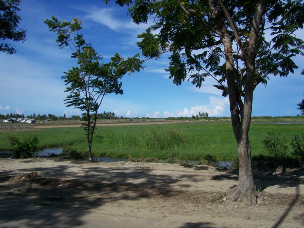 ขายที่ดินชะอำ เพชรบุรี : ขายที่ดิน 23 ไร่ หาดเจ้าสำราญ เหมาะจัดสรรและทำเกษตร จังหวัดเพชรบุรี.