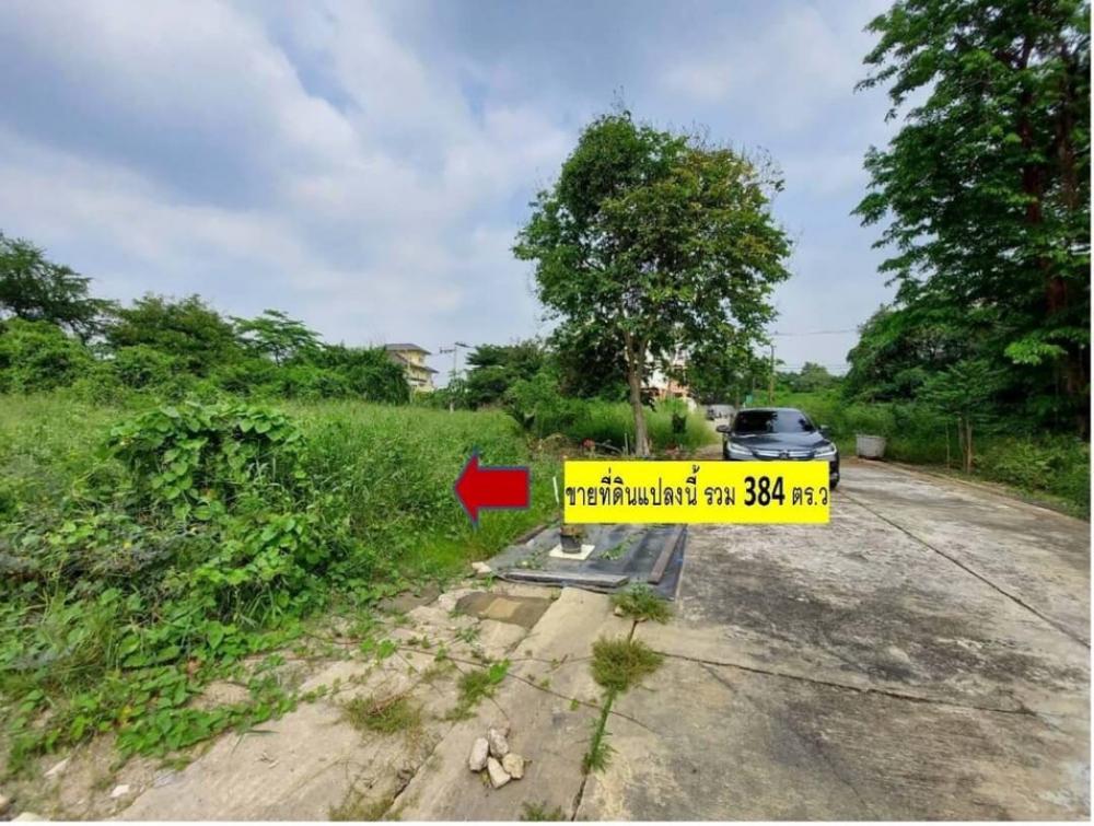 For RentLandPhutthamonthon, Salaya : Land for sale 384 sq m in the Sinpatthana Thani project, Phutthamonthon Sai 4, Krathum Lom 18, Thawi Watthana.