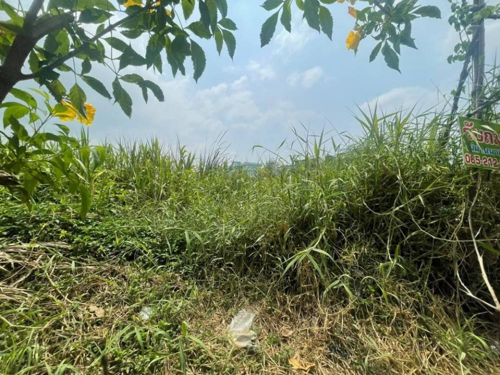 For SaleLandLadkrabang, Suwannaphum Airport : Rent/sell empty land 20 rai 3 ngan, Lat Krabang location, next to the main road, brightly colored layout, suitable for a village.