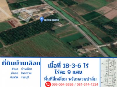 For SaleLandRatchaburi : Land for sale in Ban Choek Photharam with palm plantation. Near Ban Pong fish market, very cheap price