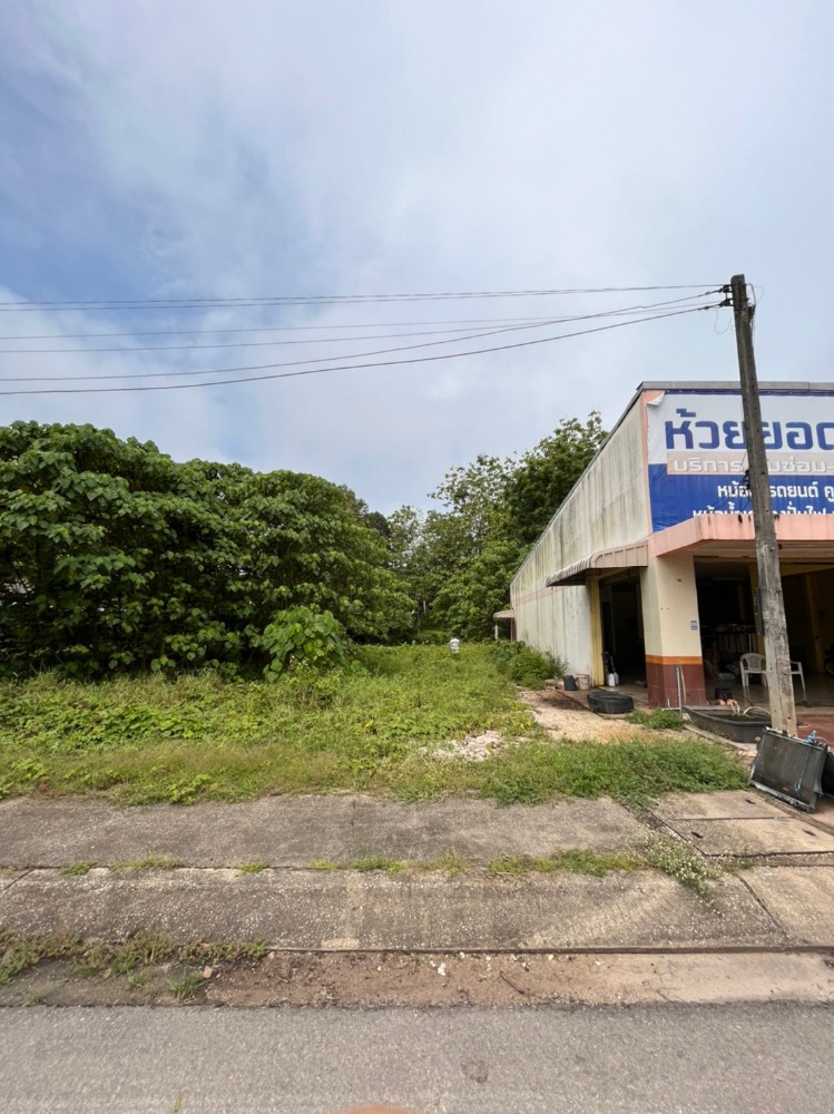 For SaleLandTrang : Land for sale in Huai Yot, 12k per wah (owner selling)