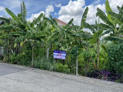 For SaleLandBang kae, Phetkasem : Land for sale in Soi Petchkasem 116 near Thonburi University.