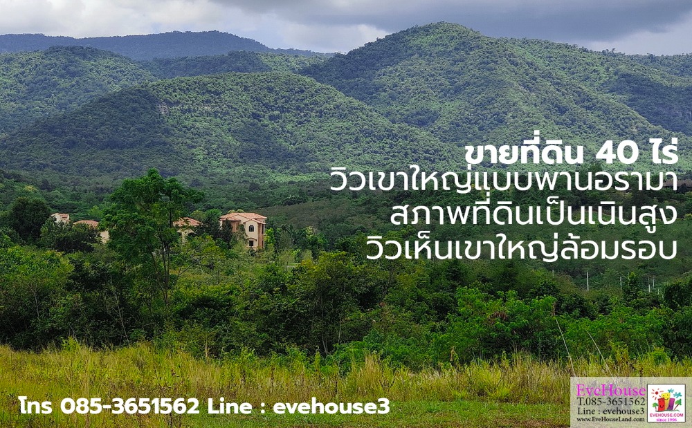 ขายที่ดินปากช่อง เขาใหญ่ : ที่ดิน เขาใหญ่ 41 ไร่ ใกล้อินเตอร์คอนฯ เวิลด์พีซ วัลเล่ย์ , สวอนเลค, ทอสคาน่า