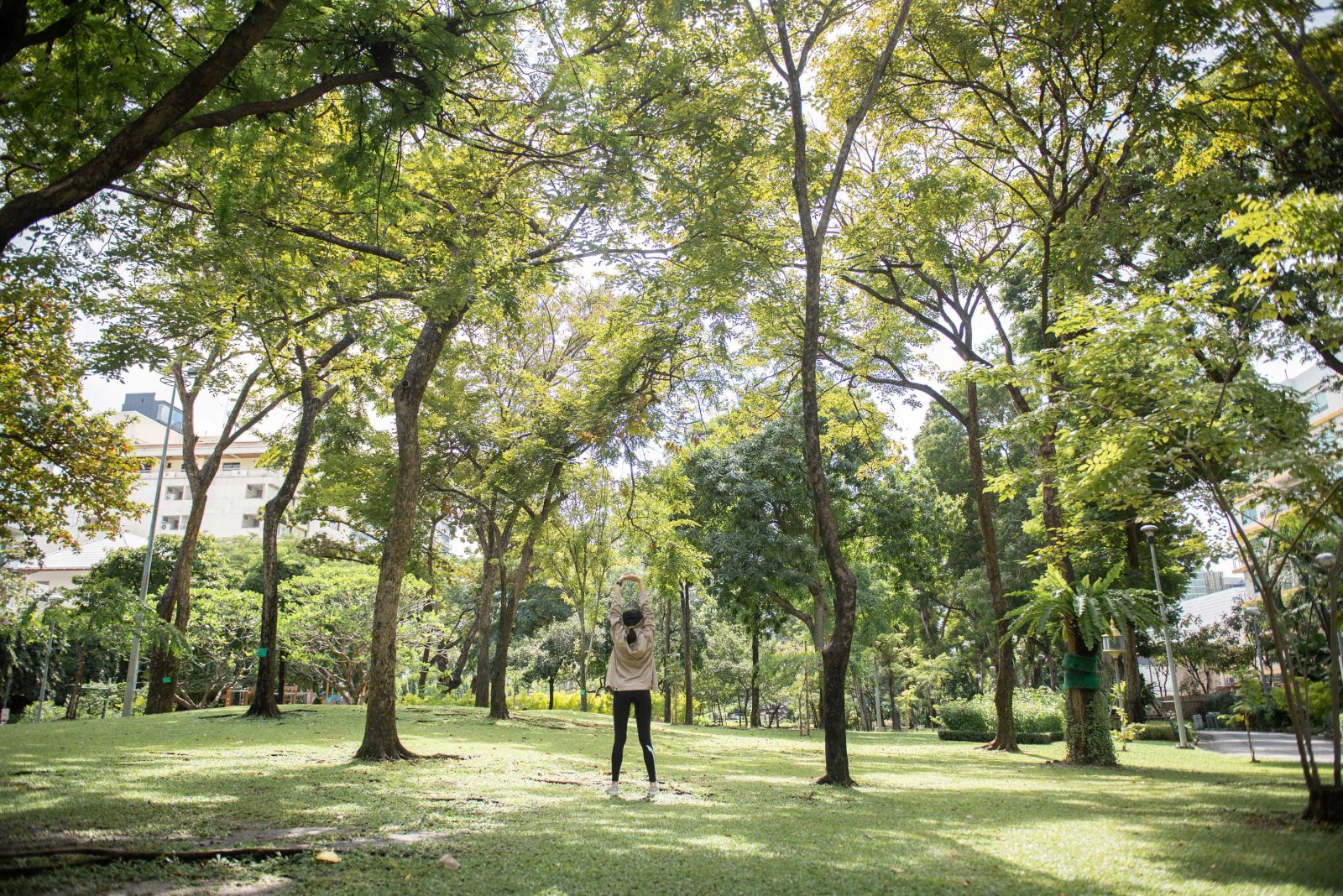  THE EXTRO  คอนโดที่เชื่อมต่อความสดชื่นของต้นไม้ใหญ่ และความสดใสของท้องฟ้า